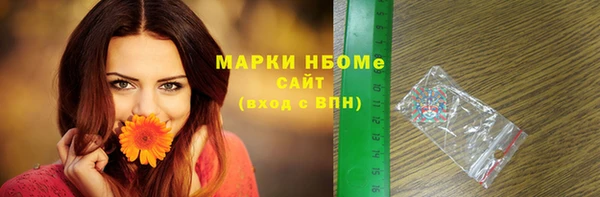 гидра Богданович