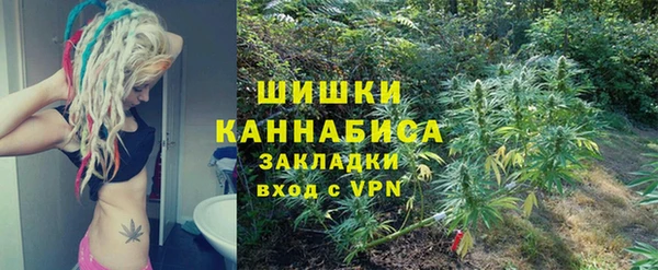 сатива Беломорск