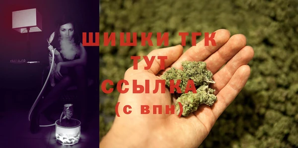 бошки Богородицк