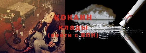 гидра Богданович