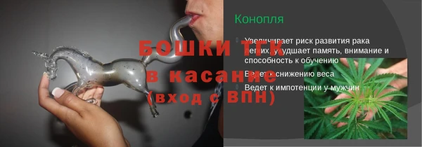 бошки Богородицк
