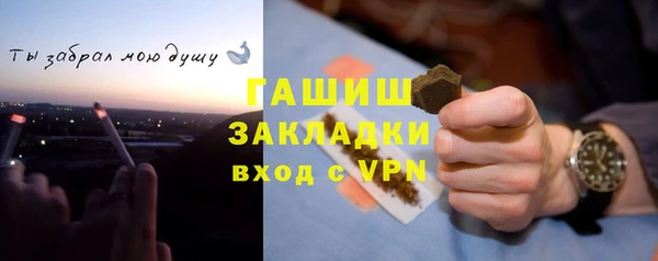 гидра Богданович