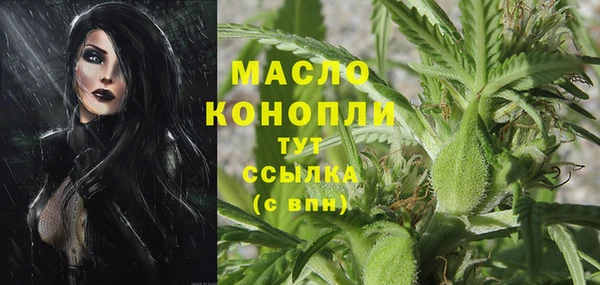 гидра Богданович