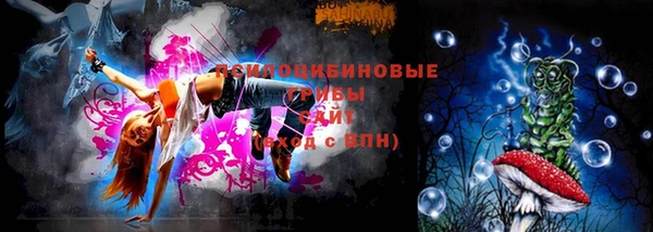 гидра Богданович