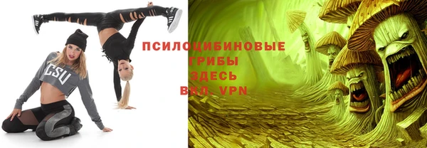 бошки Богородицк